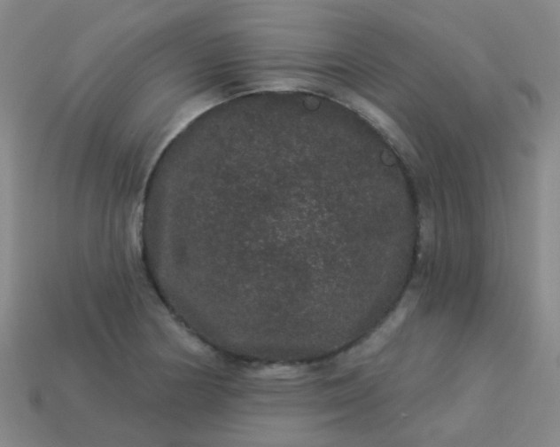 X0000114121178200910191717