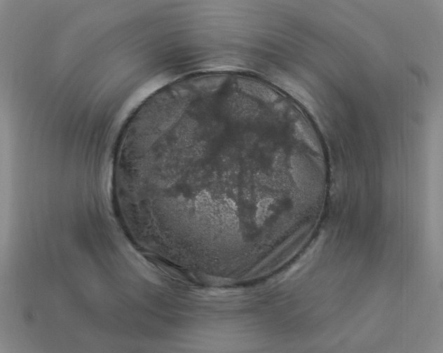 X0000114121179200910191717