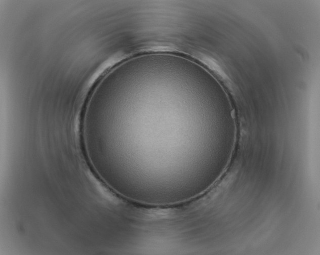 X0000114121181200910191717