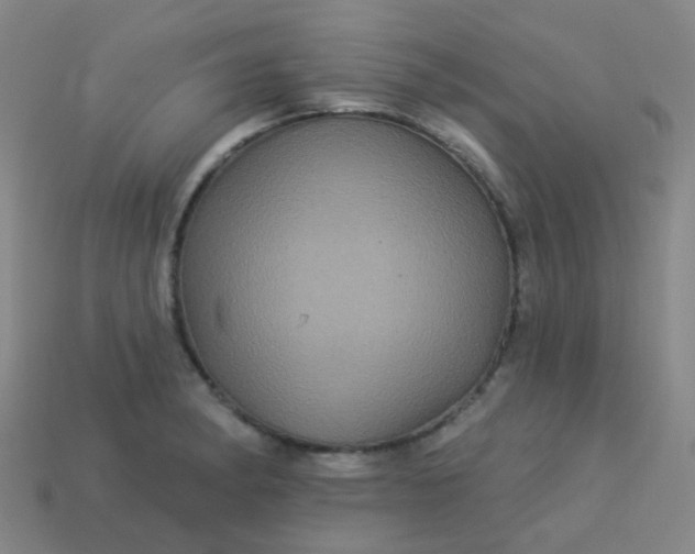 X0000114121182200910191717