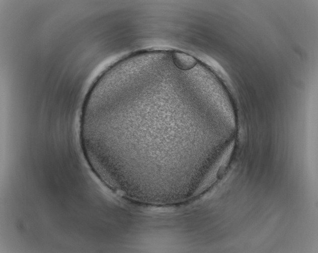 X0000114121183200910191717