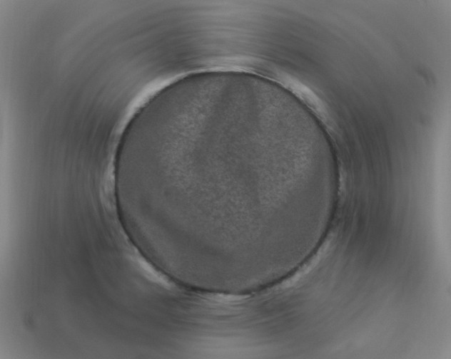 X0000114121184200910191717