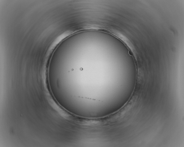 X0000114121187200910191717