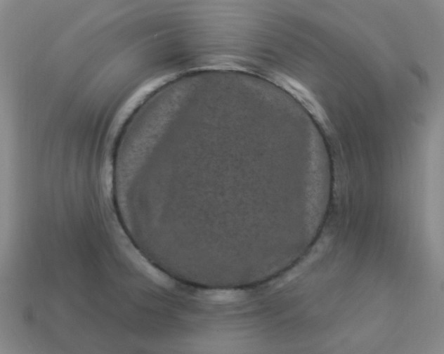 X0000114121188200910191717