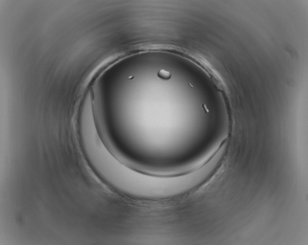 X0000114121189200910191717