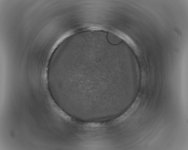 X0000114121190200910191717