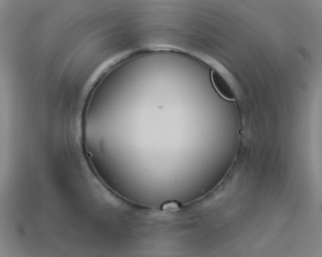 X0000114121191200910191717