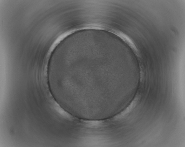 X0000114121192200910191717