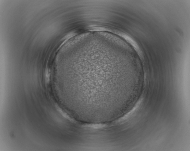 X0000114121193200910191717