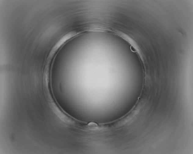 X0000114121195200910191717