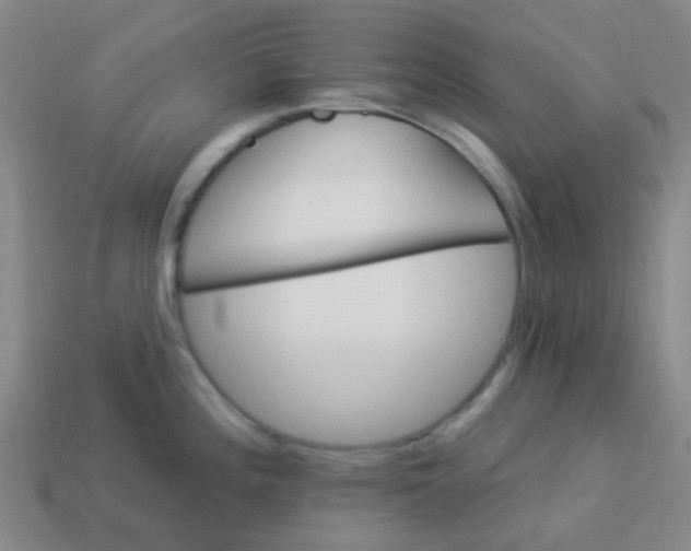 X0000114121196200910191717