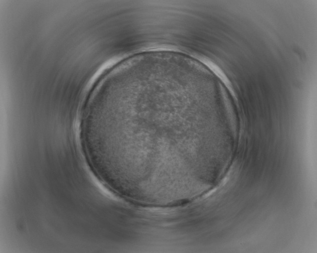 X0000114121197200910191717