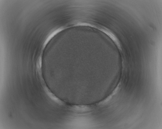 X0000114121198200910191717