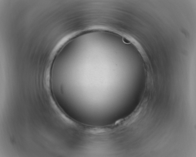 X0000114121199200910191716