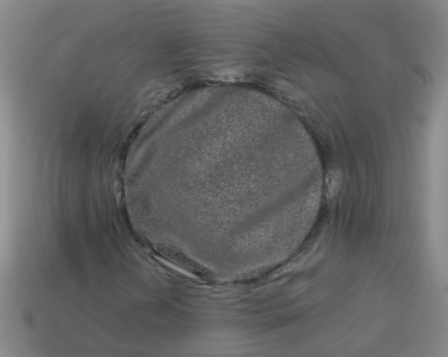 X0000114121202200910191716