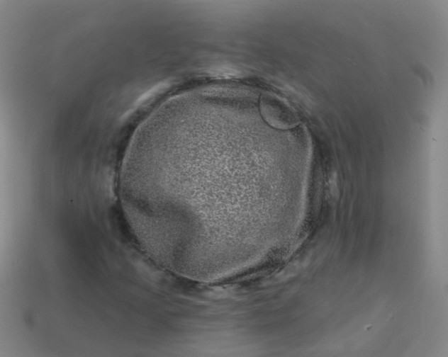 X0000114121205200910191716