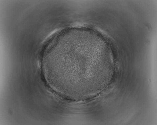 X0000114121206200910191716