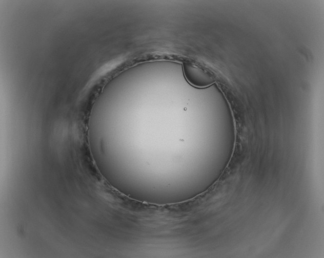 X0000114121207200910191716