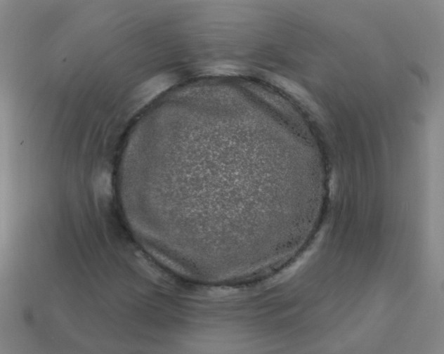 X0000114121209200910191716