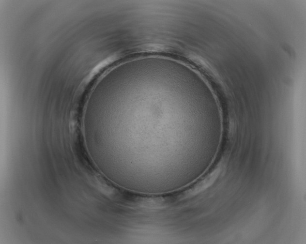 X0000114121210200910191716