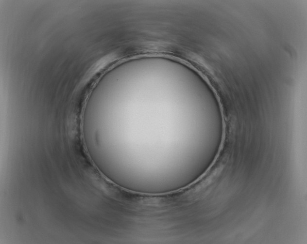 X0000114121211200910191716