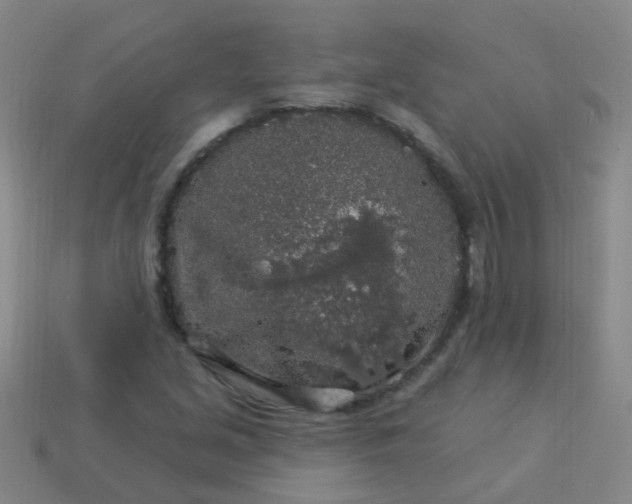 X0000114121213200910191716