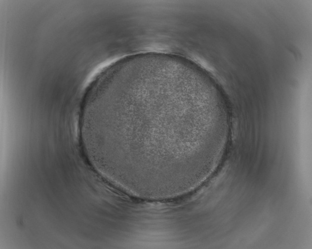 X0000114121214200910191716