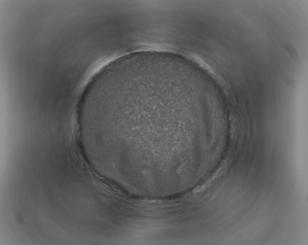 X0000114121215200910191716