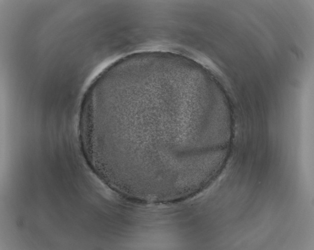 X0000114121216200910191716