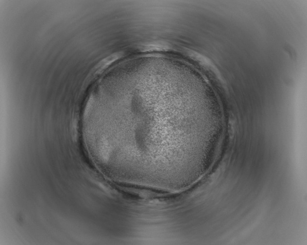 X0000114121217200910191716