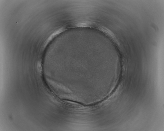 X0000114121218200910191716