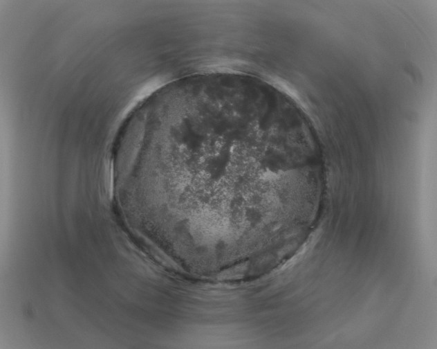 X0000114121219200910191716