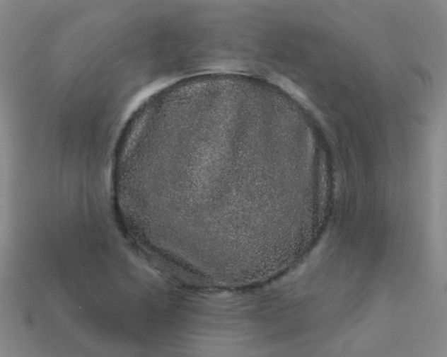 X0000114121222200910191716