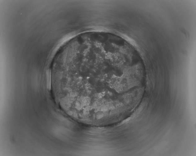 X0000114121223200910191716