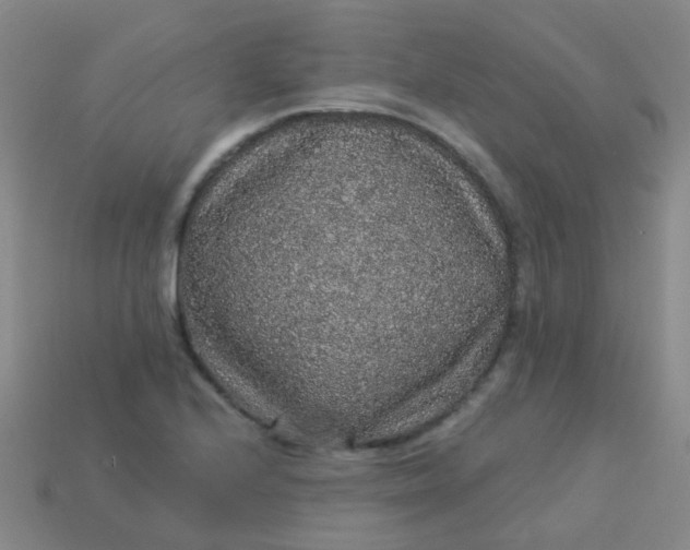 X0000114121224200910191716