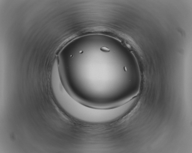 X0000114121225200910191716