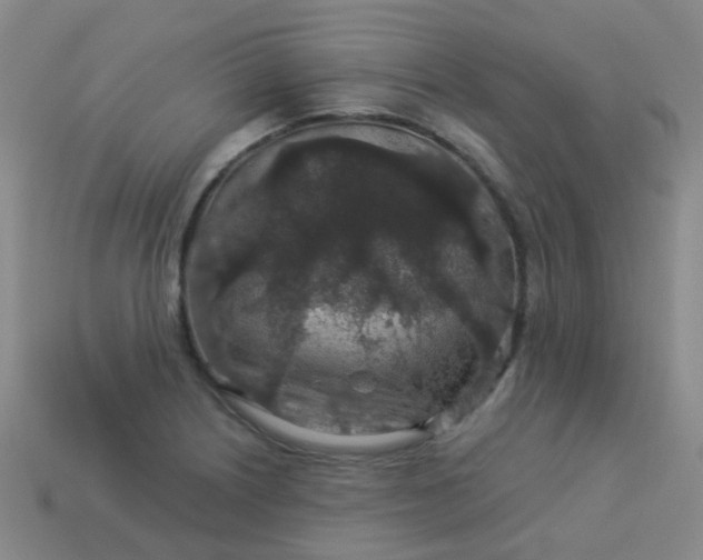 X0000114121226200910191716