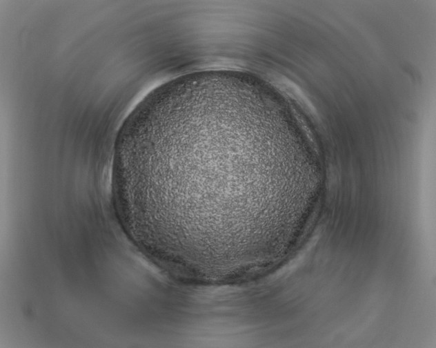 X0000114121228200910191716