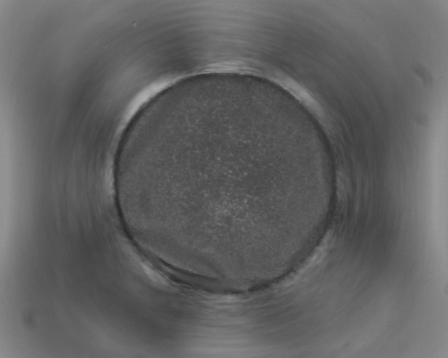 X0000114121230200910191716