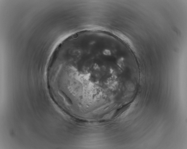 X0000114121231200910191716