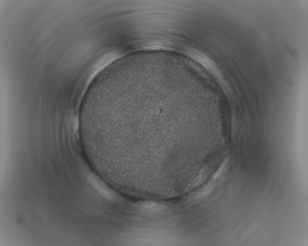 X0000114121234200910191716