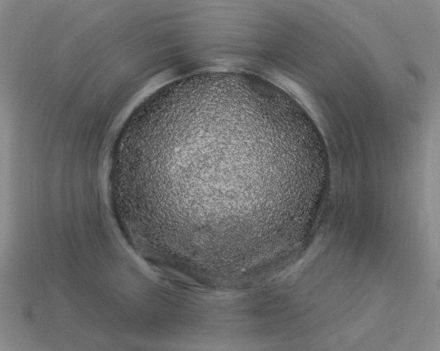 X0000114121235200910191716