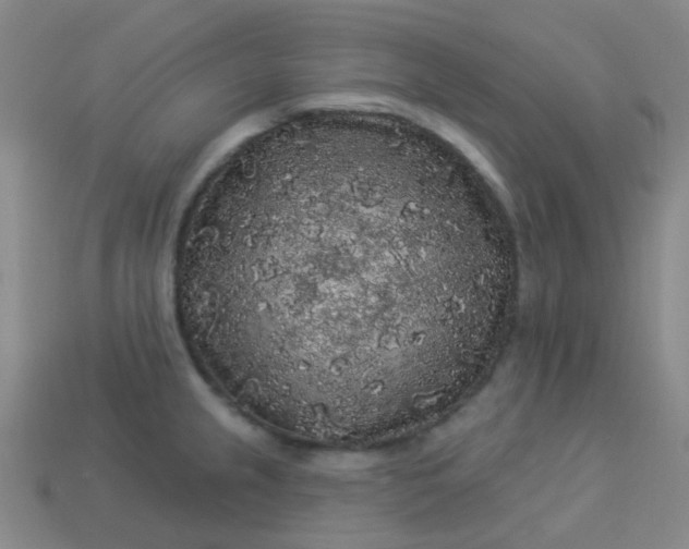 X0000114121237200910191716