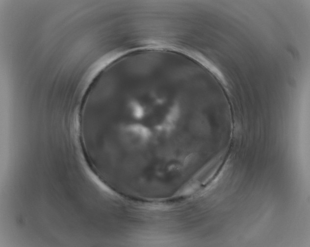 X0000114121239200910191716