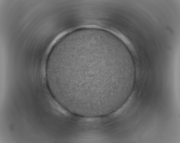 X0000114121240200910191716