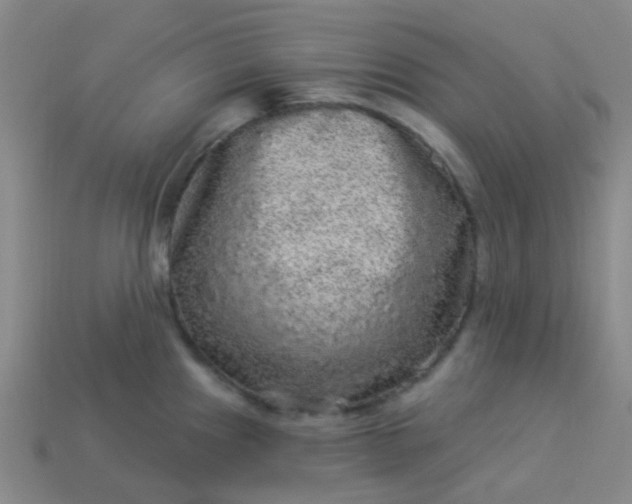 X0000114121241200910191716