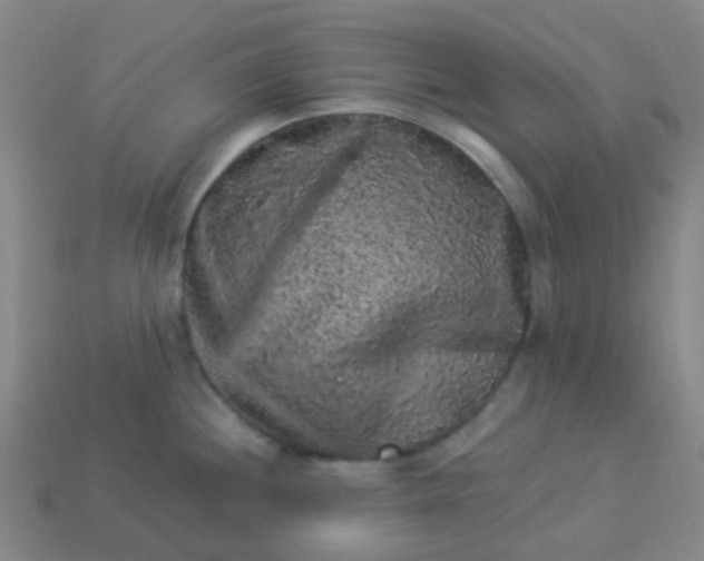 X0000114121244200910191716