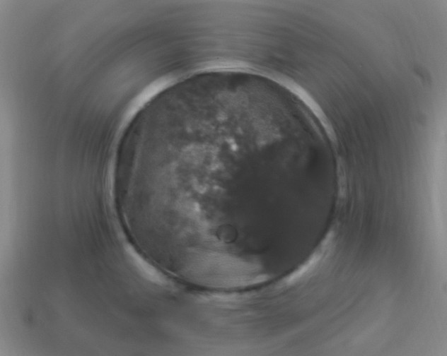 X0000114121245200910191716