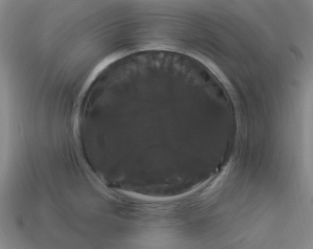 X0000114121246200910191716