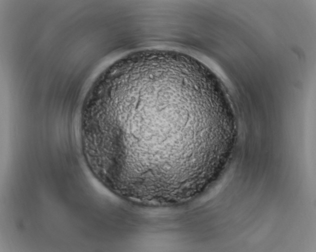 X0000114121247200910191716